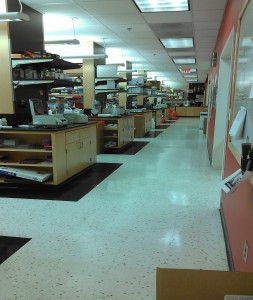 Lab Picture