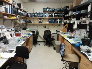 Dissection table, PCR prep table, desk, and lunchroom!