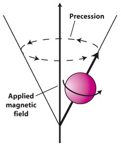 A spinning proton wobbles (precesses) about an externally applied magnetic field.