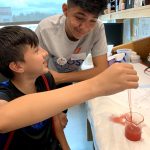 Photo of BOOST Scholar working with Junior Coach to extract strawberry DNA during BOOST field trip.