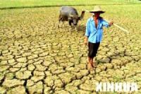 A farmer standing on barren earth
