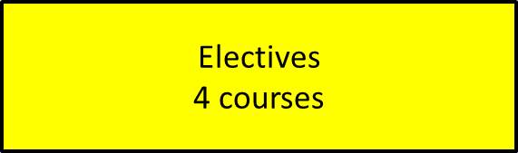 Electives BS