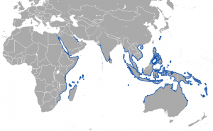 Figure 4 The known range of the dugong (Wikipedia)