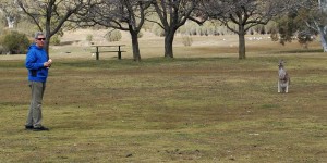 macropod encounter at Tidbinbilla Nature Reserve