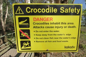 Croc Warning Signs