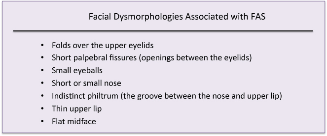 Facial_dysmorphologies