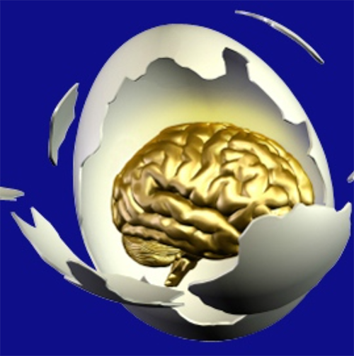 golden-brain