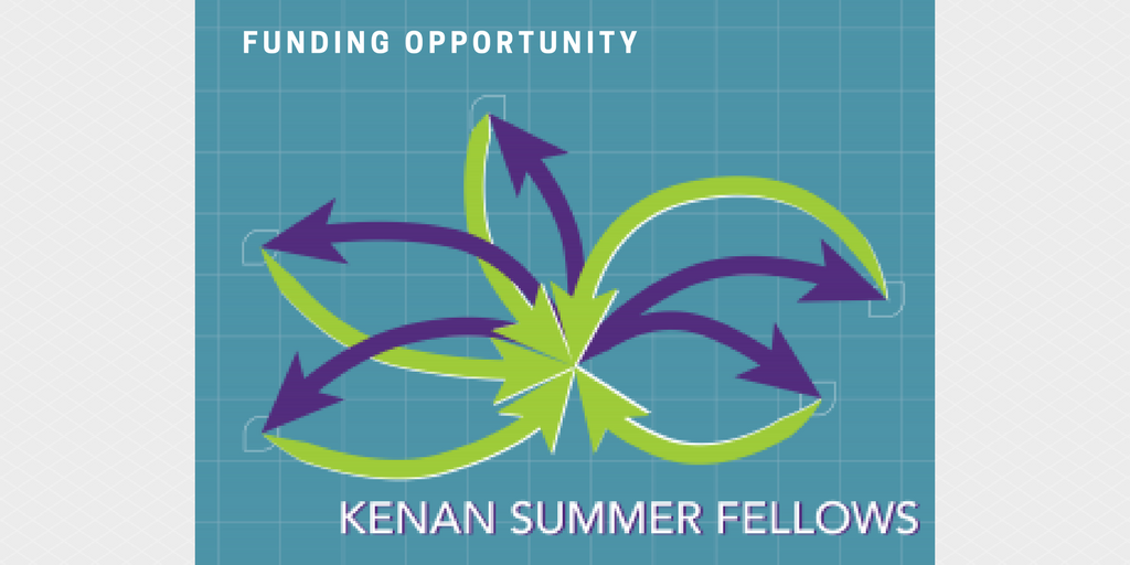 Kenan Summer Fellows
