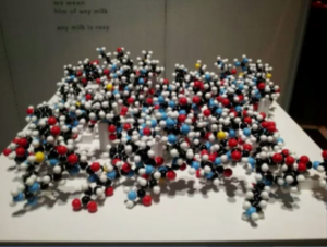 Picture of the protein sculpture on display at the Museum of Contemporary Art in Denver
