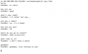 An example of the author’s chatbot in action.