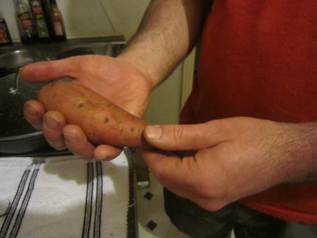 Covtington sweet potato
