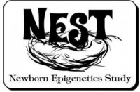 The Nest Study