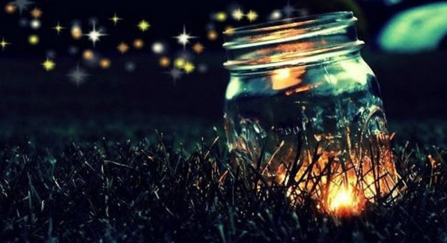 fireflies