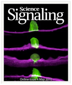 Science Signaling