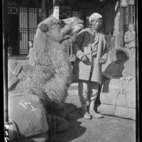 Camel Head, 1917-27