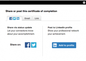 Lynda_ShareLinkedin