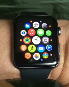 Apple Watch (imagine from https://commons.wikimedia.org)