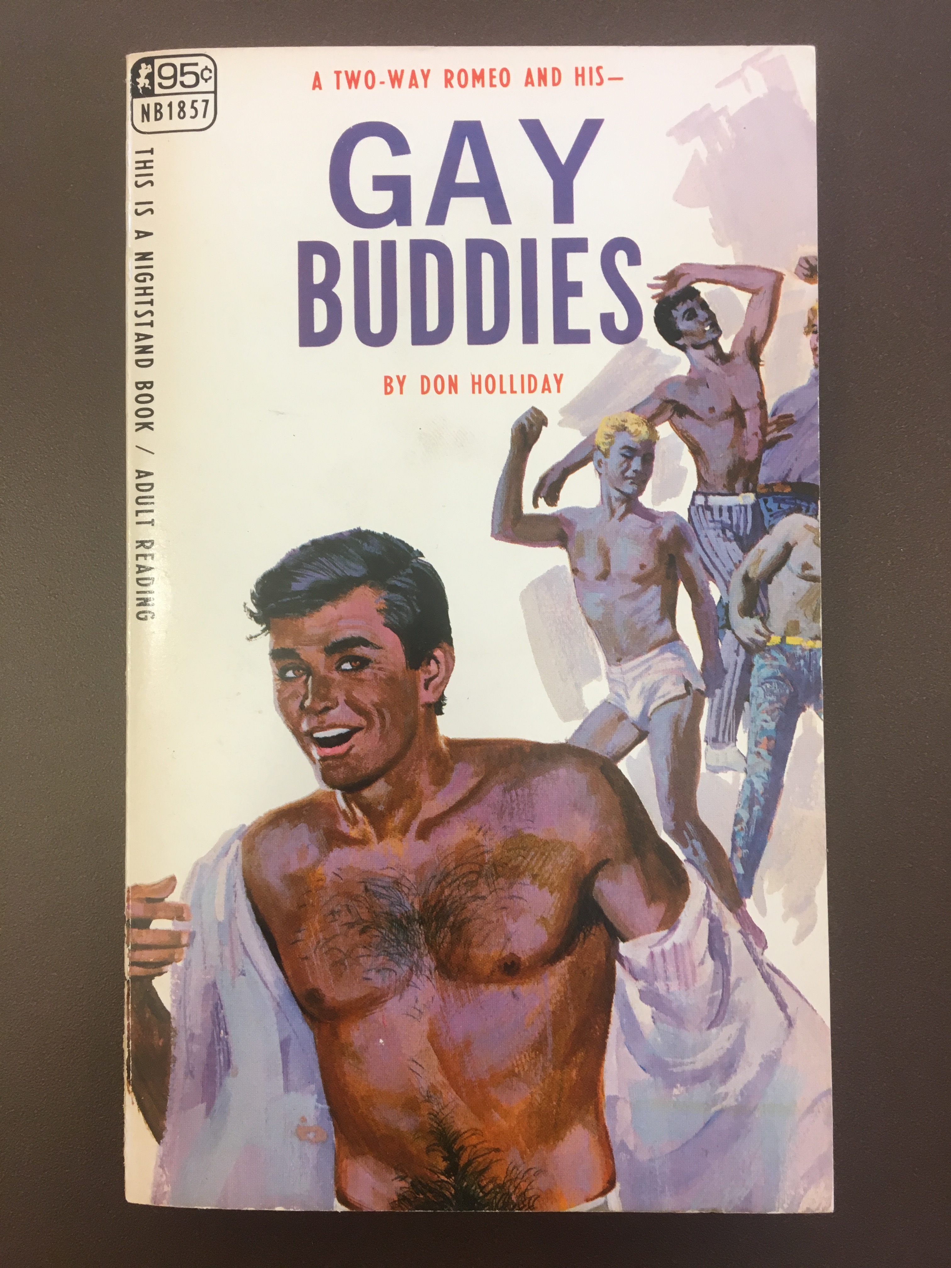 Gay erotic novels