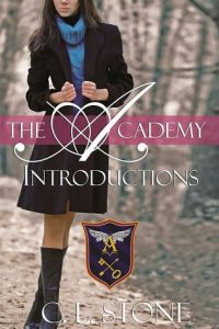A picture of C. L. Stone's groundbreaking reverse harem novel, Introductions