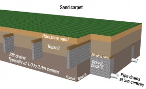 Image of a soilless sand natural grass field ("Section D - Pitch Design"). 