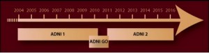 ADNI-1, -GO, and -2 timelines