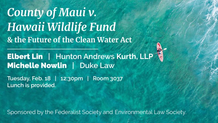 county-of-maui-v-hawaii-wildlife-fund-the-future-of-the-clean-water