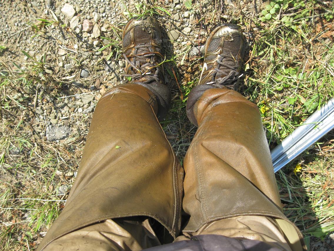 wader01