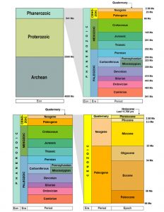 Handouts – ECS 204 Evolving Earth and Life