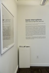 photo from the Gigi Scaria exhibition