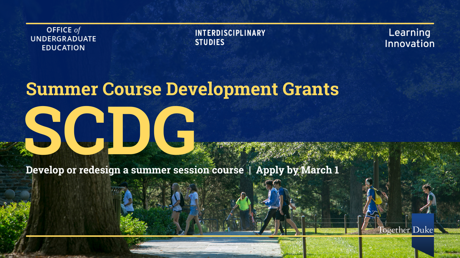 Summer course development grants.
