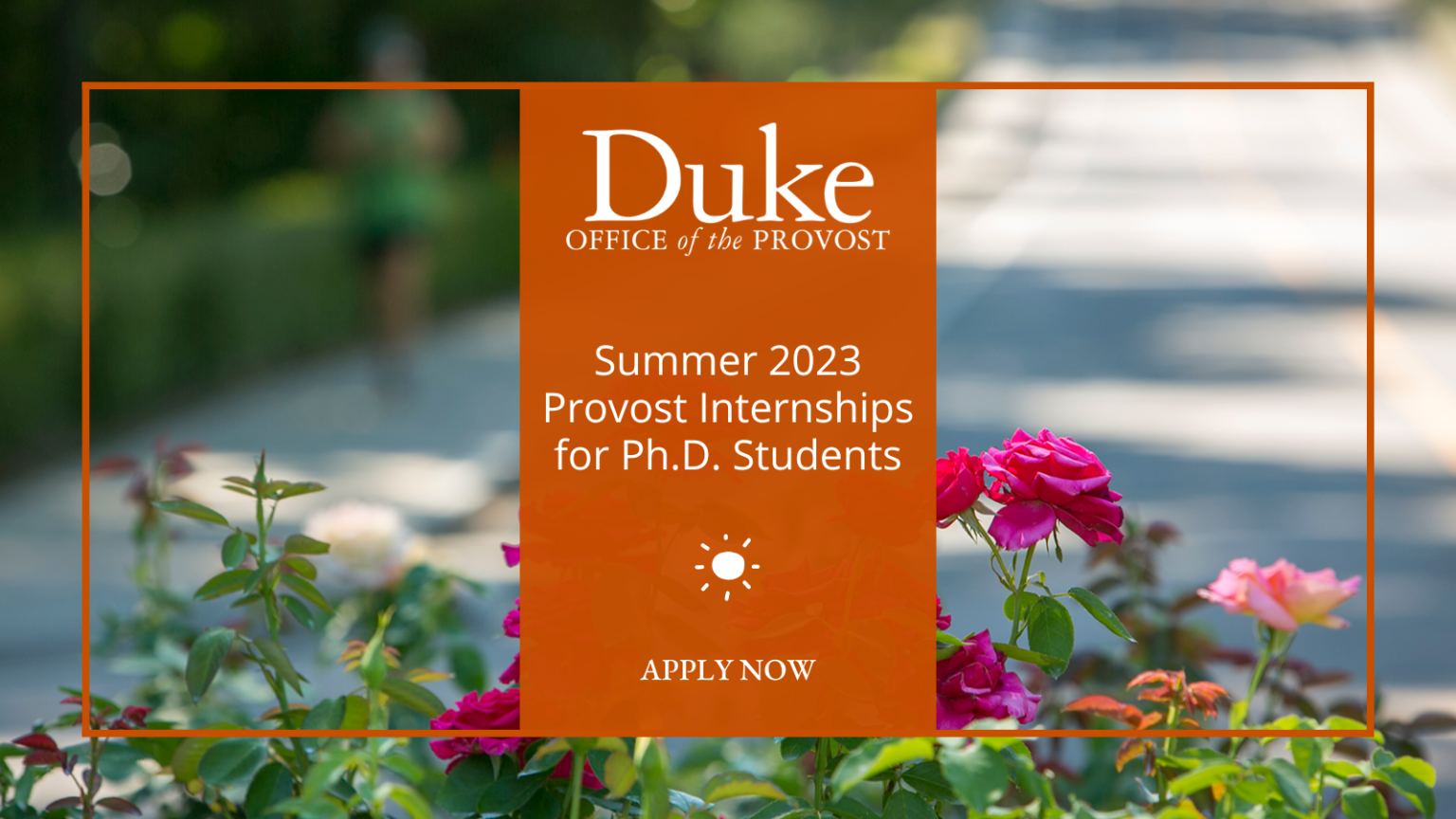 summer-2023-provost-internships-for-duke-ph-d-students-duke