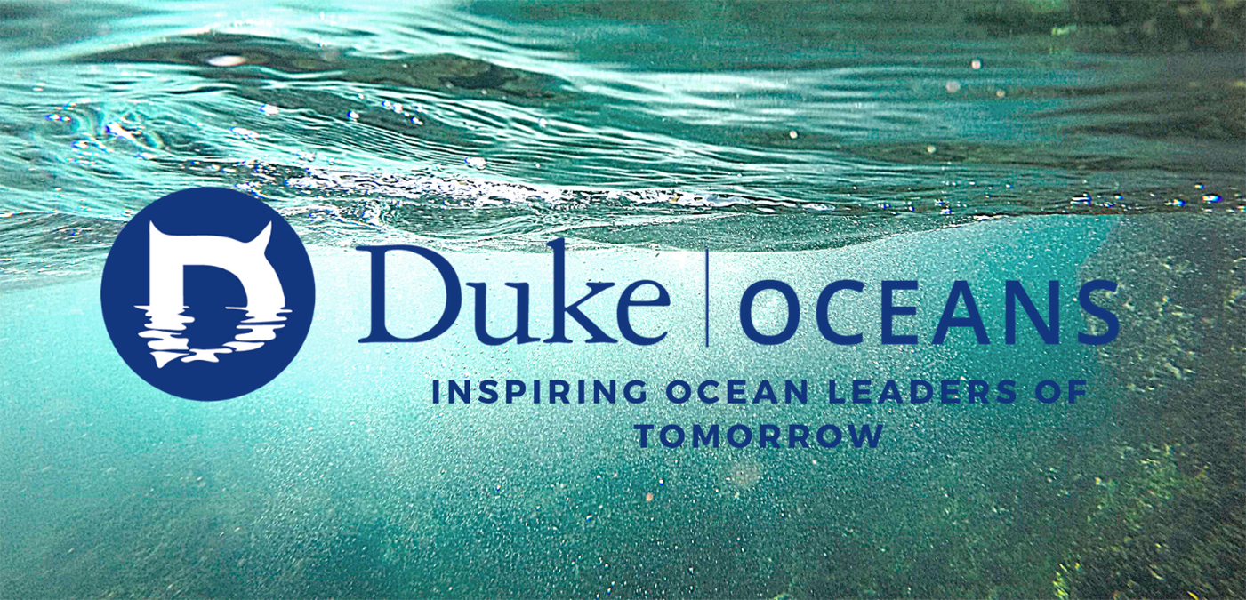 Duke Oceans logo over image of seawater.