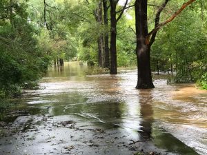 Arroyo Ellerbee Creek inundado en Durham, Carolina del Norte