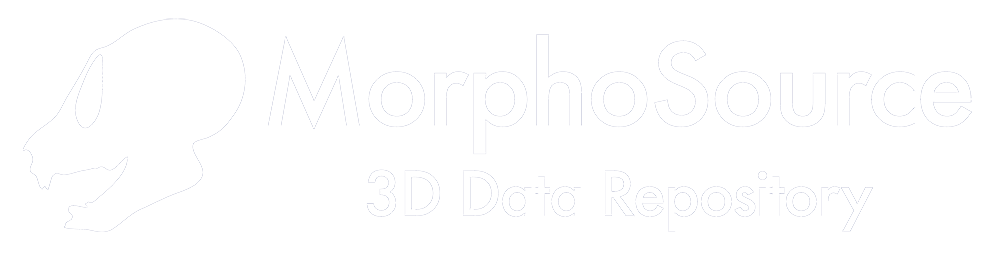 MorphoSource News and Updates