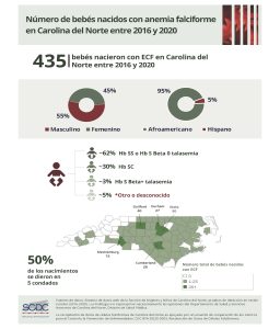 State level infographics_Birth_08.28.23_Revised 12.6.24_Spanish