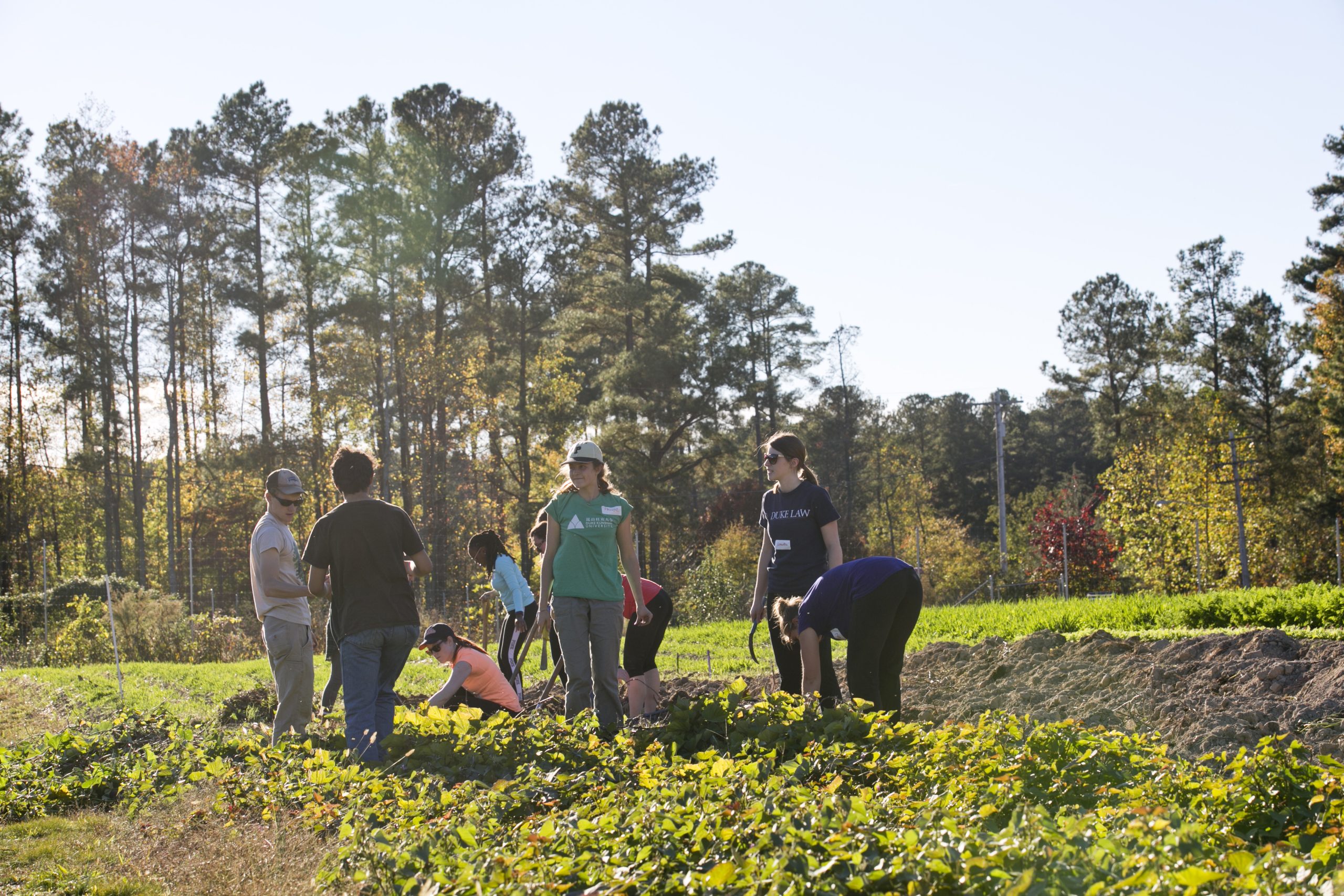 161716i_campus_farm_0005