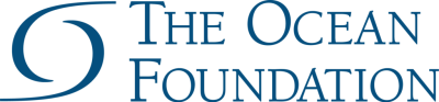 The Ocean Foundation Verticle
