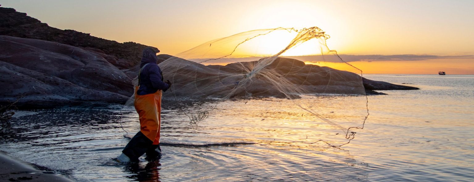 Person using a net to fish with sun rising in background