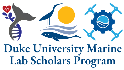 Duke University Marine Lab Scholars Program