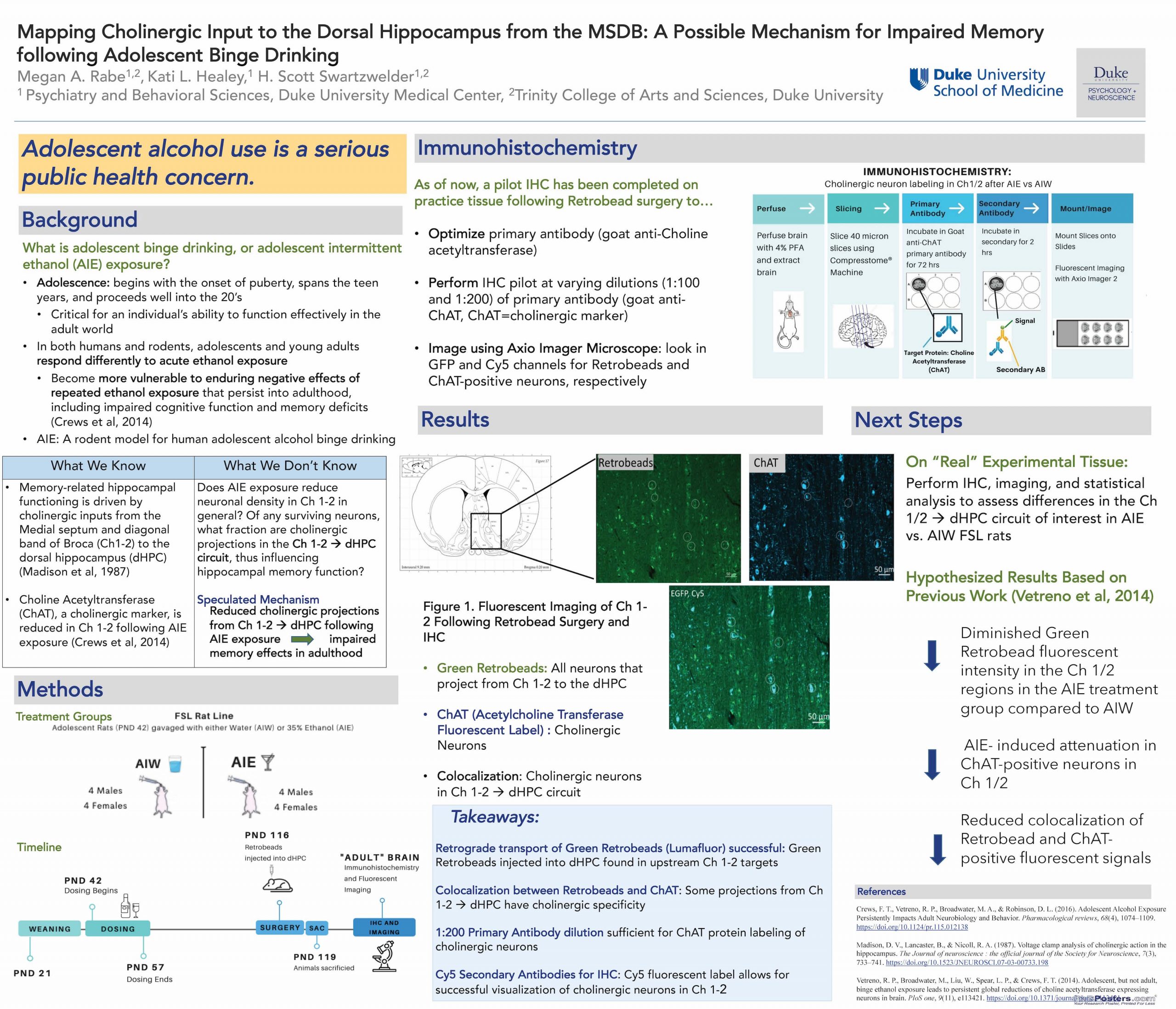 Rabe Poster