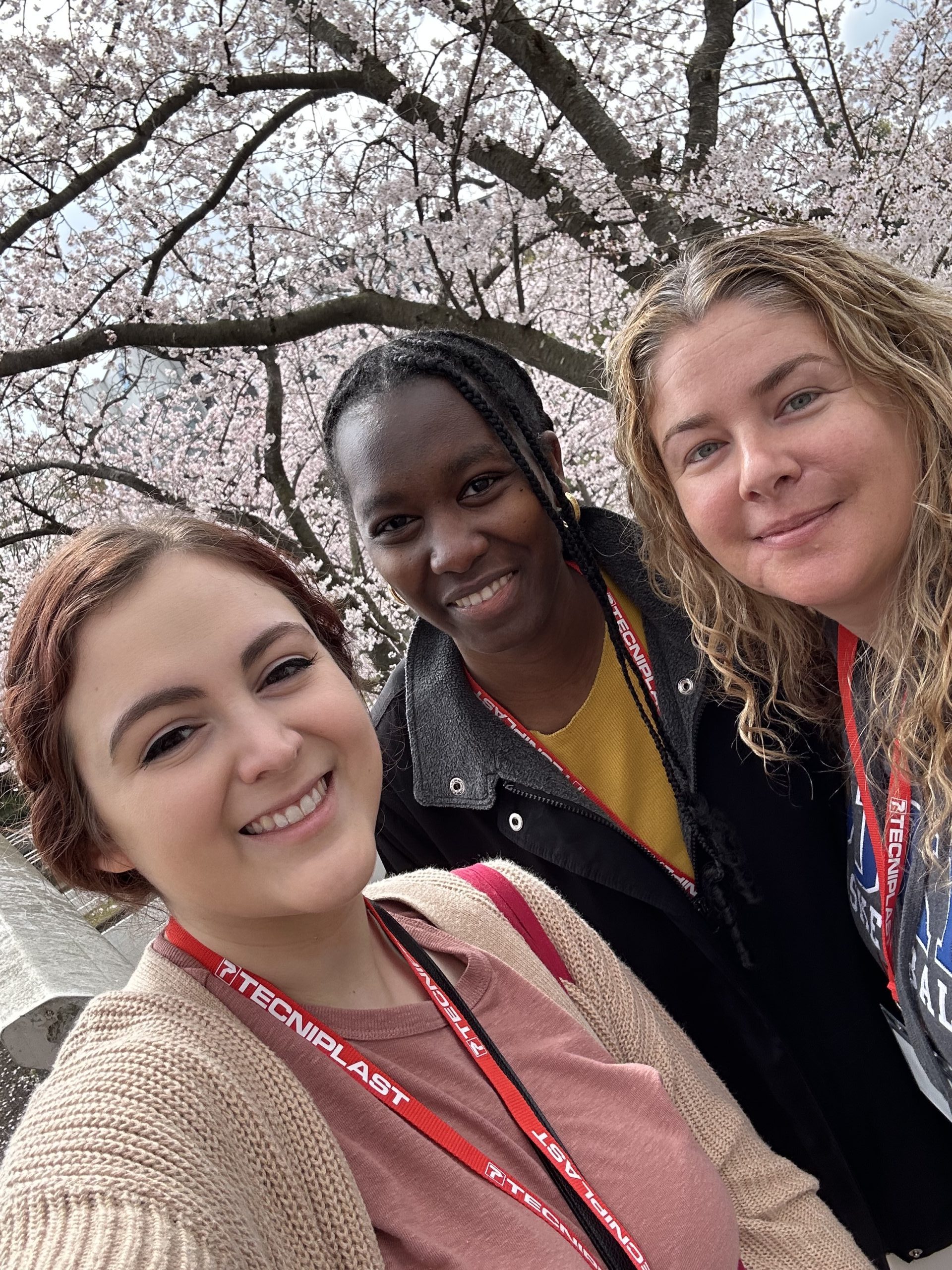 Enjoying cherry blossoms with the lab!
