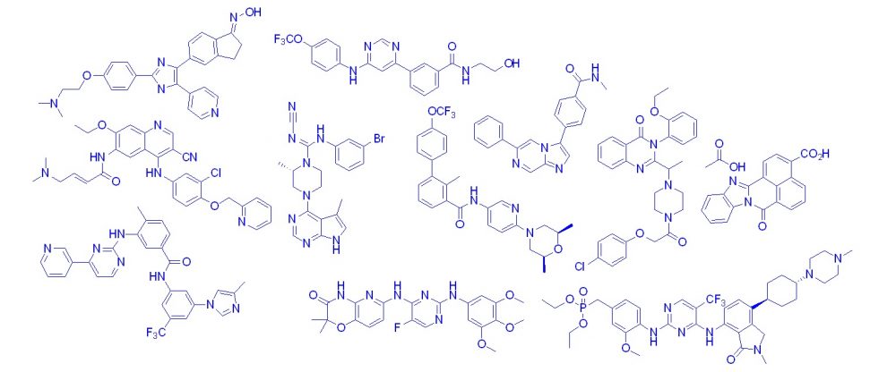 Duke Small Molecule Synthesis Facility
