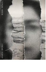 Cover of Minor Detail