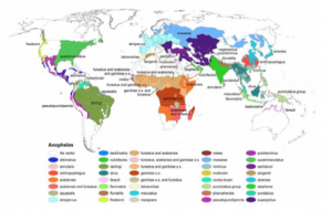 Global distribution of Anopheles mosquitoes.