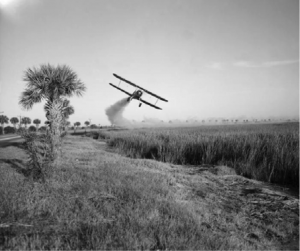 A Stearman bi-plane is spraying an insecticide during malaria control operations in Savannah, GA. Insecticides are important in disease prevention through vector control.