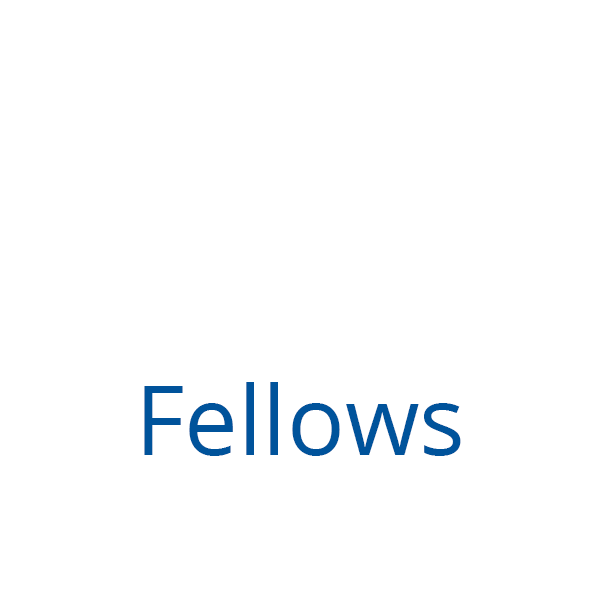 Gif illustrating that there are 23 fellows in the Section