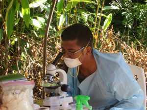 Malagasy Ph.D. student Tamby Ranaivoson counts ectoparasites from small mammals