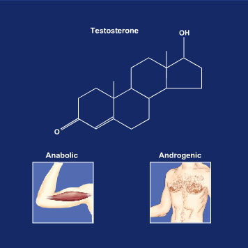 10 Facts Everyone Should Know About legal steroids bodybuilding