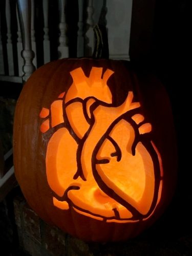 anatomical heart pumpkin carving