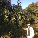 Sept2016: Khalid showing off his Populus garden